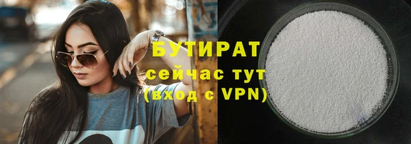индика Елизово