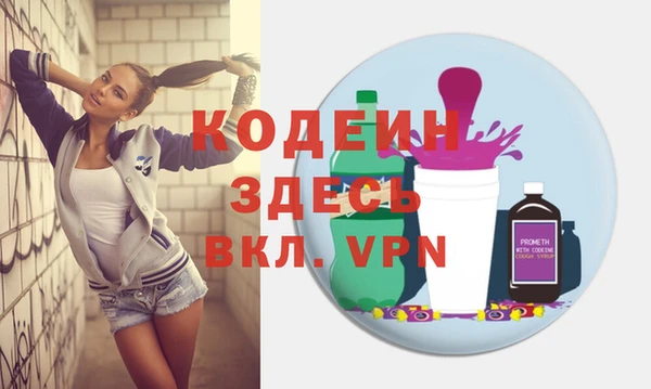 индика Елизово