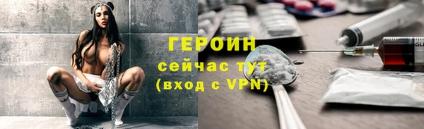 индика Елизово