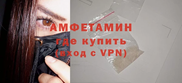 индика Елизово