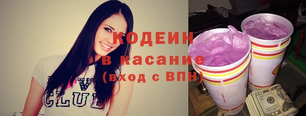индика Елизово