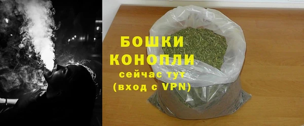 индика Елизово