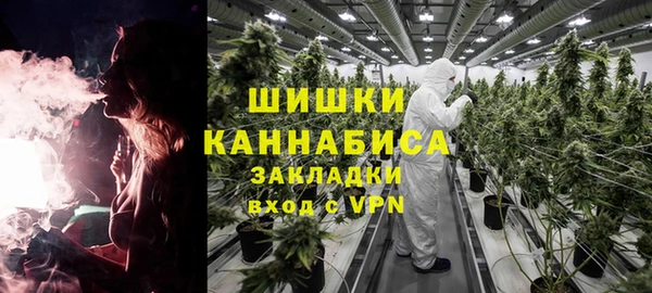 индика Елизово