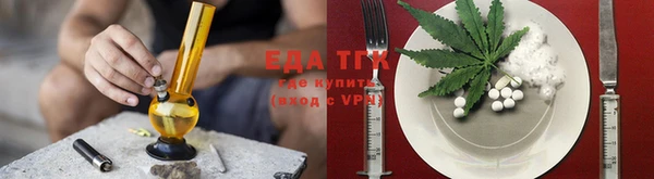 индика Елизово