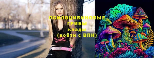 MDMA Ельня