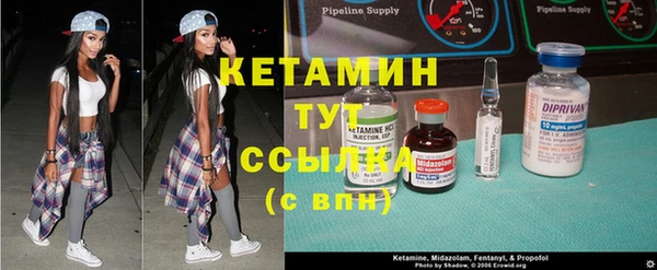 индика Елизово