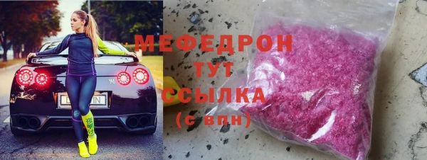 индика Елизово