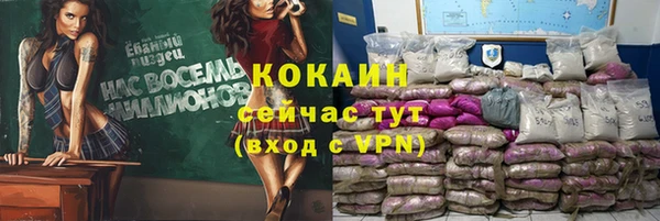 индика Елизово