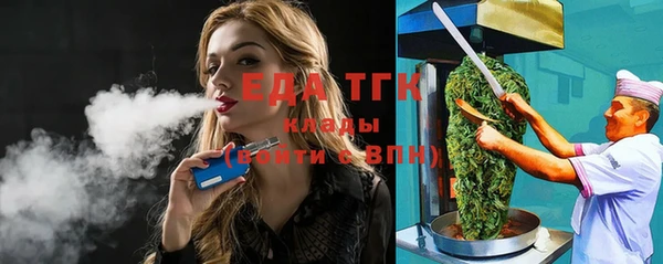 индика Елизово