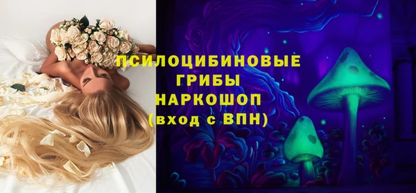 apvp Елабуга