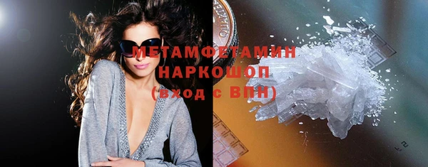 индика Елизово