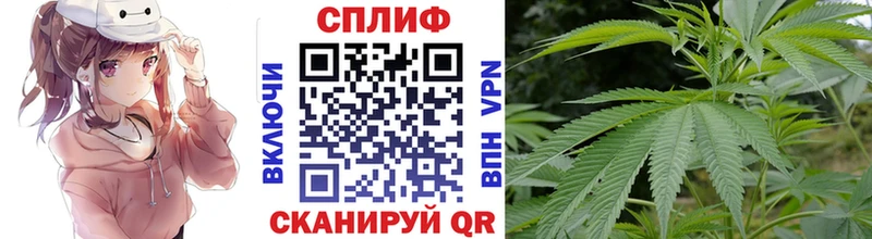 Каннабис индика Камень-на-Оби